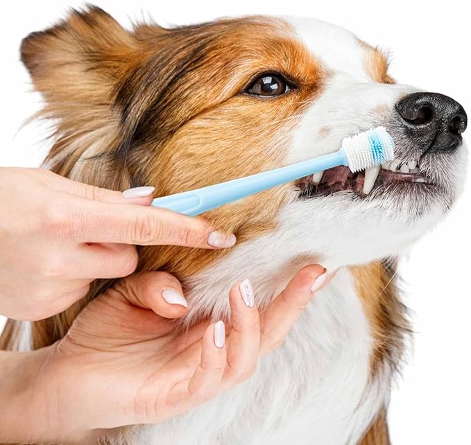 2 Pcs Small Dog Toothbrush Cat Tooth Brush 360 Degree Soft Silicone Pet Toothbrush Tiny Toothbrush Cat Dental Care Puppy Dogs Pet Tooth Cleaning Kit Deep Clean For Small Dog & Cat (Pink+Blue)