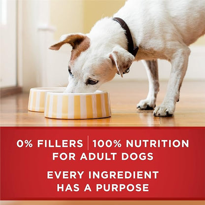 Purina ONE Classic Ground Chicken and Brown Rice, and Beef and Brown Rice Entrees Wet Dog Food Variety Pack - (Pack of 6) 13 oz. Cans