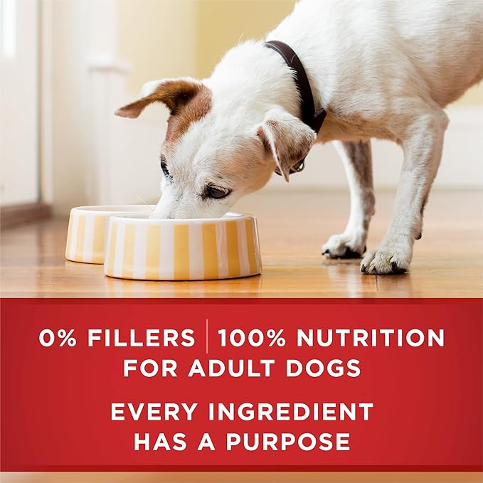 Purina ONE Classic Ground Beef and Brown Rice Entree Adult Wet Dog Food - (Pack of 12) 13 oz. Cans