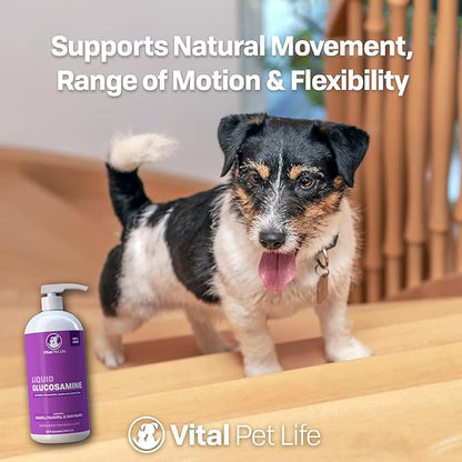 Liquid Glucosamine for Dogs Cats & Horses with Chondroitin, MSM, and Hyaluronic Acid, Hip & Joint Supplement for Mobility & Comfort, Supports Joint Health & Flexibility, Mobility, & Protection, 32 oz