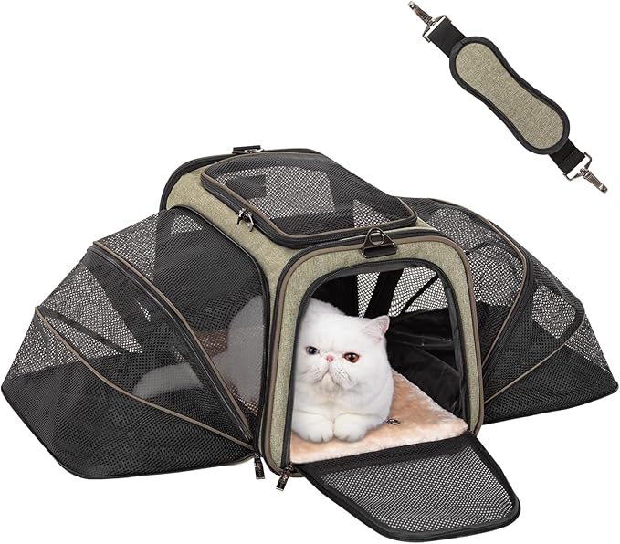 Petsfit Expandable Cat Dog Carrier Airline Approved, 17" L x 11" W x 11" H Soft-Sided Portable Pet Travel Carrier for Kitten, Puppy, Removable Soft Plush Mat and Pockets, Auto-Locking Zippers