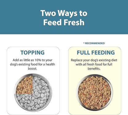 JustFoodForDogs Pantry Fresh Wet Dog Food, Complete Meal or Dog Food Topper, Lamb & Brown Rice Human Grade Dog Food Recipe - 12.5 oz (Pack of 12)