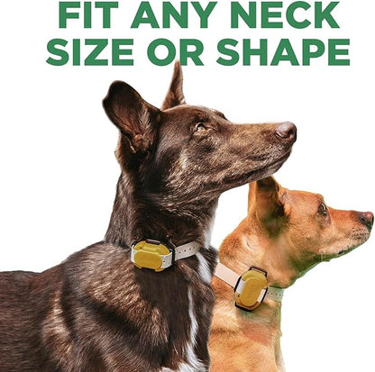Dogtra CUE easy safe e-collar with Vibration Customizable Waterproof Rechargeable Tan ecollar for Small Medium Large Dogs Remote Training Collar (2nd Generation)