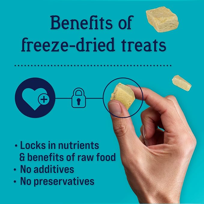 Stewart Freeze Dried Dog Treats, Chicken Breast, 14.8 oz Grain Free & Gluten Free, Resealable Tub, Single Ingredient, training treat in Beef Liver, Salmon, Chicken Liver & Chicken Breast 4, 14, 21 oz