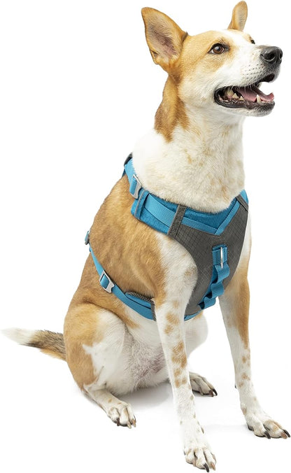 Kurgo Journey Air Dog Harness, Vest Harnesses for Dogs, Pet Hiking Harness for Running & Walking, Reflective, Padded, includes Control Handle, No Pull Front Clip (Blue, X-Large)