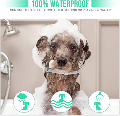 Flea and Tick Collar for Small Dogs with Flea Comb,8-Month Tick and Flea Control for Dogs Under 18 Lbs,Safe,Waterproof,Adjustable,2 Pack