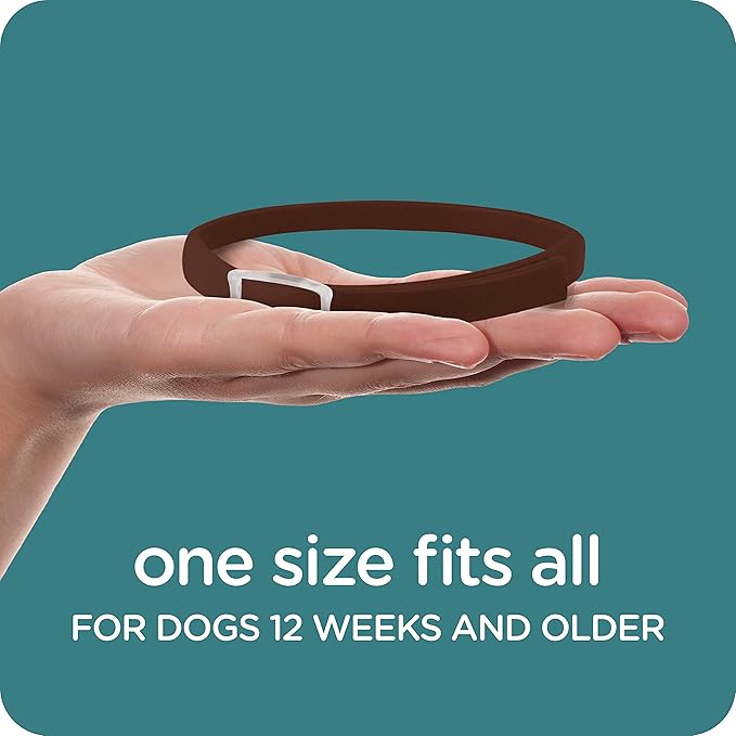 Sergeant's Guardian Flea & Tick Collar for Dogs, 1 Count