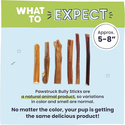 Pawstruck Natural 5-7" Bully Sticks for Dogs - Best Long Lasting, Rawhide Free, Low Odor Dental Chew Treat - Healthy Single Ingredient 100% Real Beef - 8 oz. Bag - Packaging May Vary