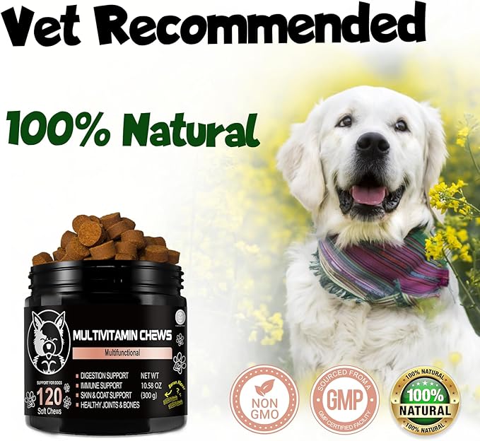 Pets - Dog Supplements & Vitamins -Dog Zinc Supplement - Pets Vitamins Supplements - Dog Vitamin B12 - Dog Multivitamin - Organic Dog Vitamins - Probiotic - Puppy Vitamins - Vitamin for Dogs