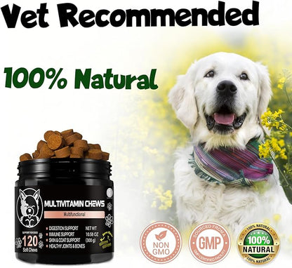 Pets - Dog Supplements & Vitamins -Dog Zinc Supplement - Pets Vitamins Supplements - Dog Vitamin B12 - Dog Multivitamin - Organic Dog Vitamins - Probiotic - Puppy Vitamins - Vitamin for Dogs