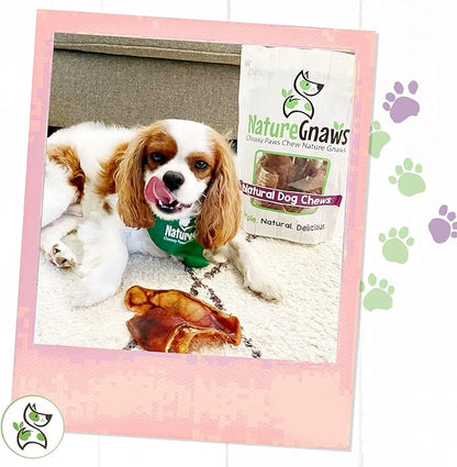 Nature Gnaws Pig Ears for Dogs - Premium Natural Pork Dental Chews - Thick Long Lasting Dog Chew Treats for Aggressive Chewers - Rawhide Free 8 Count (Pack of 1)