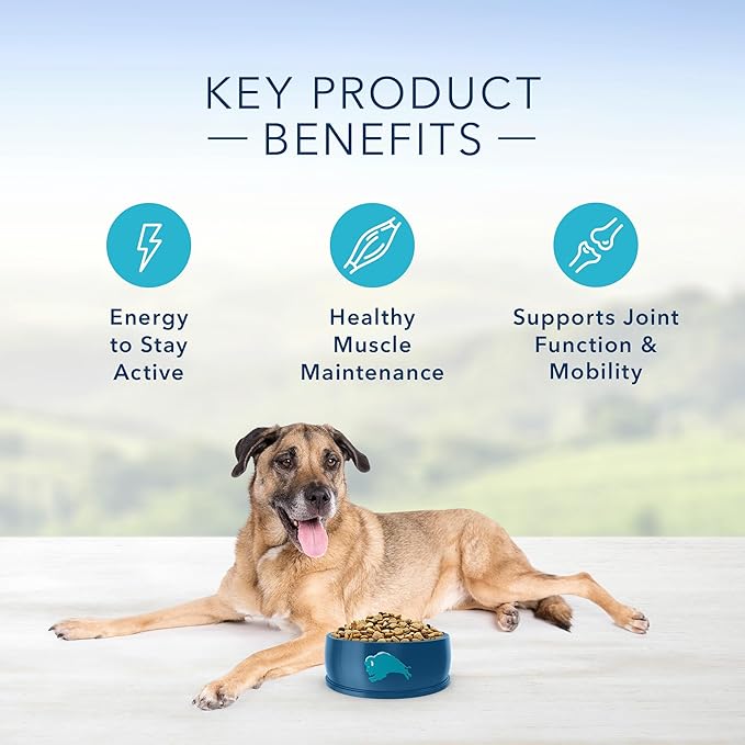 Blue Buffalo Life Protection Formula Natural Senior Dry Dog Food, Chicken and Brown Rice 34-lb