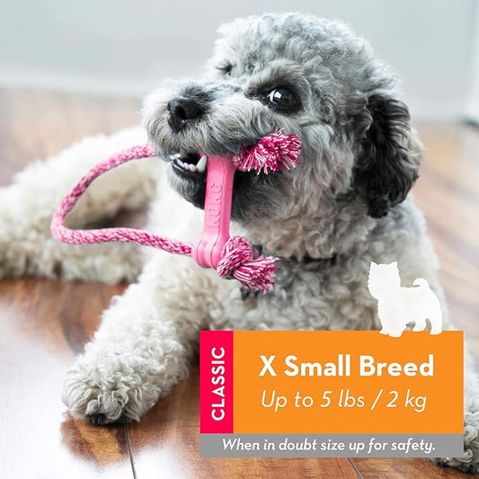 KONG Puppy Goodie Bone with Rope - Dog Chew Toy for Puppies - Natural Rubber Bone Toy with Cotton Rope - Teeth Cleaning Toy for Growing Puppies - for XS Puppies - Pink