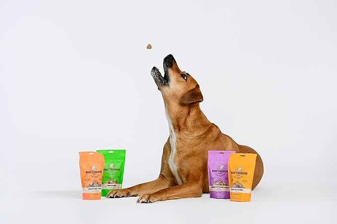 What's Barking Peanut Butter Honey Soft Chews - Premium Chewy Dog Treats, Natural Ingredients, No Wheat, Made in USA - 6 oz (Pack of 3)