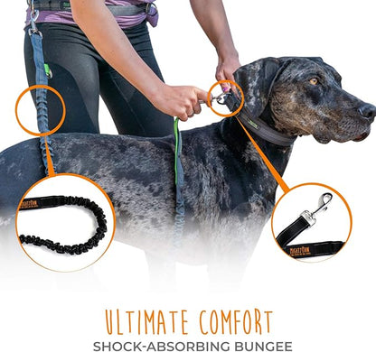 Mighty Paw Hands Free Dog Leash | Bungee Waist Leash for Dog Walking. Dog Running Leash Hands Free. Hands Free Leash for Large Dogs, Medium & Small Dogs. Dog Leash Waist Belt (36" - 48") Up To 150 lbs