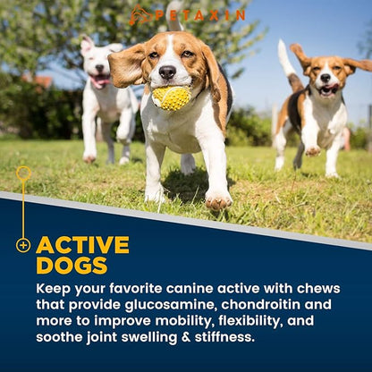 Glucosamine for Dogs – Advanced Hip and Joint Supplement for Dogs - Dog Joint Supplement for Joint Pain Relief and Mobility – Dog Glucosamine with Chondroitin, MSM, Turmeric - 120 Soft Chews
