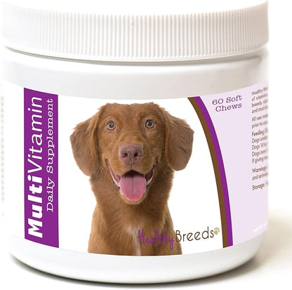 Healthy Breeds Nova Scotia Duck Tolling Retriever Multi-Vitamin Soft Chews 60 Count