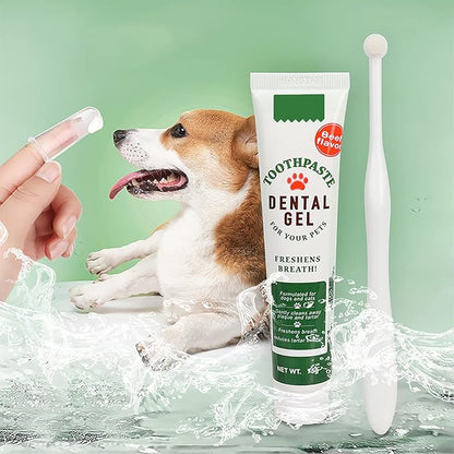 Pet Toothbrush Toothpaste Kit Dog Teeth Cleaning Cat Teeth Cleaning Dental Care Kit Pet Finger Toothbrush, Reduce Plaque & Tartar Buildup, Beef Flavor