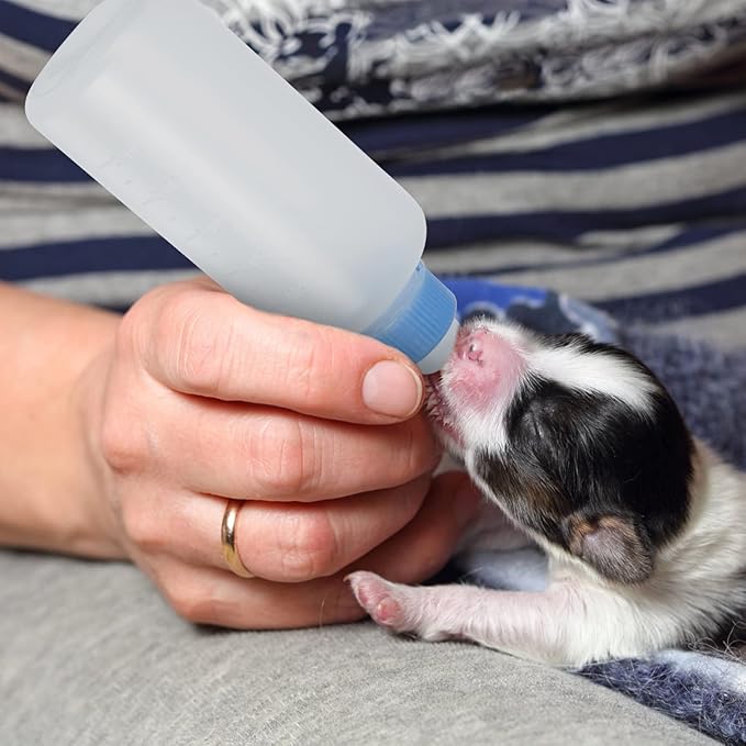 Bottle 3Pcs Pet Feeding Bottle Kitten Bottles Kitten Milk Replacer Puppy Milk Feeder Milk Feeder Animal Milk Bottles Lamb Bottles for Pet Cat Dog Sheep Bottles