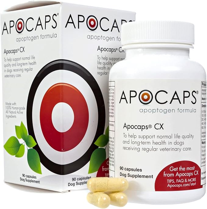 Apocaps CX Apoptogen for Dogs (Pack of 2 Boxes)- 90 Count Each