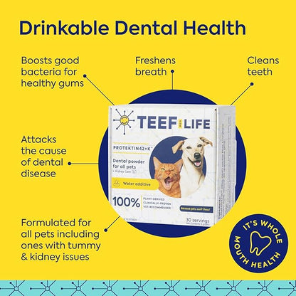 Protektin42+K Plant-Derived Daily Dental Care for All Pets (Sodium-Free), Dental Water Additive, Fights Plaque and Tartar, Dental Kit with 30 Servings for Life