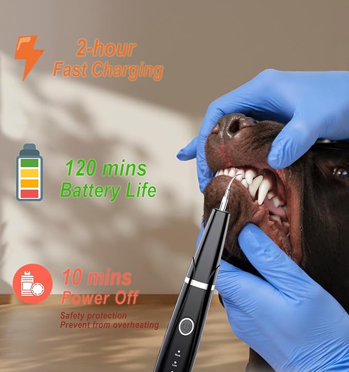 Dog Plaque and Tartar Remover - Dog Teeth Cleaning Kit, Dog Dental Tools to Remove Plaque and Tartar, Ultrasonic Dog Tooth Tartar Remover Tool with Intelligent Detection and LED Light, Black