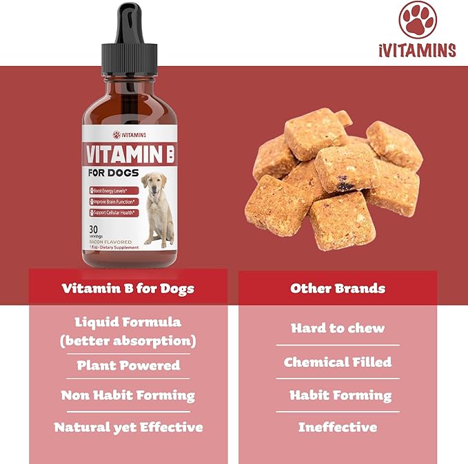 Vitamin B for Dogs | Vitamin B Complex for Dogs | Vitamin B12 for Dogs | Dog Vitamins | B12 Vitamins for Dogs | Vitamin B Dog Supplements | B Complex for Dogs | B12 for Dogs | Do1 fl oz: Bacon Flavor