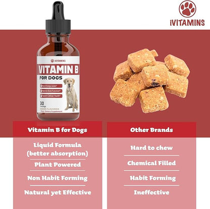 Vitamin B for Dogs | Vitamin B Complex for Dogs | Vitamin B12 for Dogs | Dog Vitamins | B12 Vitamins for Dogs | Vitamin B Dog Supplements | B Complex for Dogs | B12 for Dogs | Do1 fl oz: Bacon Flavor