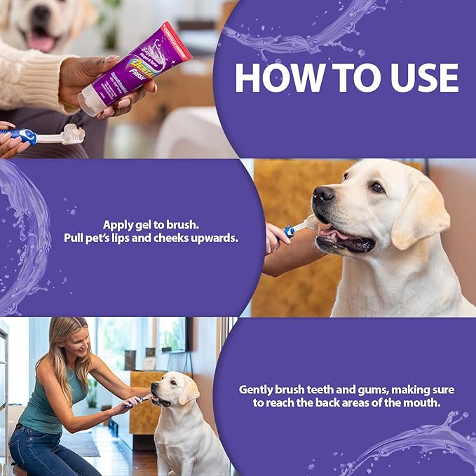 Dental Fresh Enzymatic Gel Finger Toothbrush Kit for Dogs, Includes Dog Finger Toothbrush – Dog Toothpaste and Dog Toothbrush – Dog Teeth Cleaning