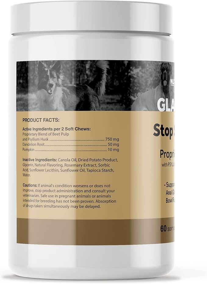Anal Gland Support Soft Chews for Dogs - Dog Supplements with Beet Pulp, Psyllium Husk, Dandelion Root & Pumpkin - Digestive & Gut Health, Normal Bowel Function - Beef Flavor, 60 Count