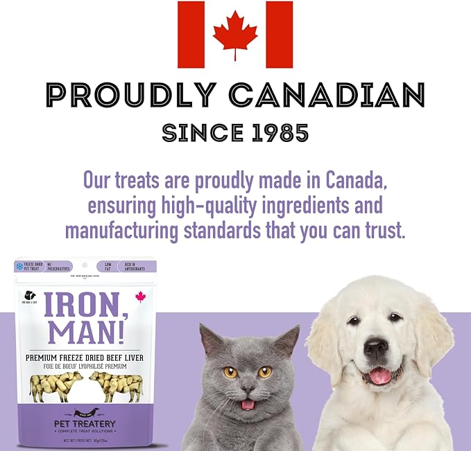 Freeze Dried Beef Liver Treats for Dogs & Cats (1.76 oz, Pack of 1) - Single Ingredient Flash Frozen to Maintain Nutrients Vitamins and Healthy Oils