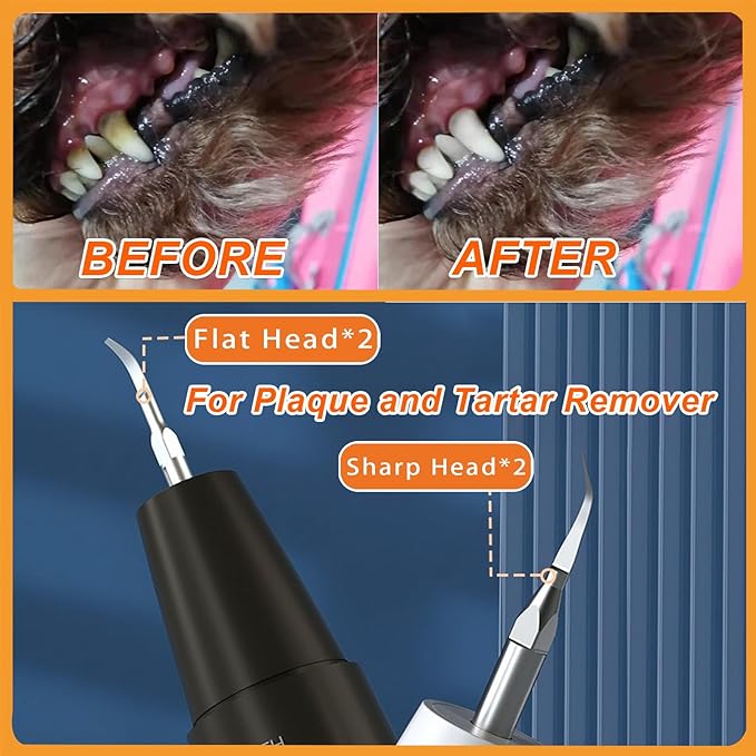 PAWZIDEA Dog Plaque Remover for Teeth Ultrasonic 44kHz, Intelligent Pet Ultrasonic Tooth Cleaner, Tartar Remover for Dog Teeth Cleaning Kit, Canine/Cat Toothbrush Scaler Dental Care Tool, Rechargeable