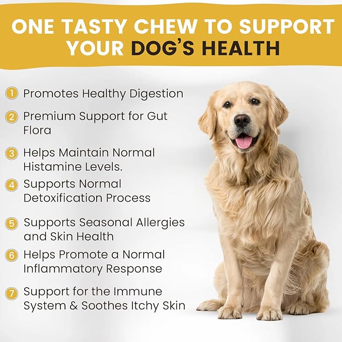 Allergy and Itch Skin Supplement | Immune Support Chews with Probiotics, Turmeric, Omega 3, Colostrum | Dog Chews for Gut & Digestive Health, Seasonal Allergies, Nose Congestion