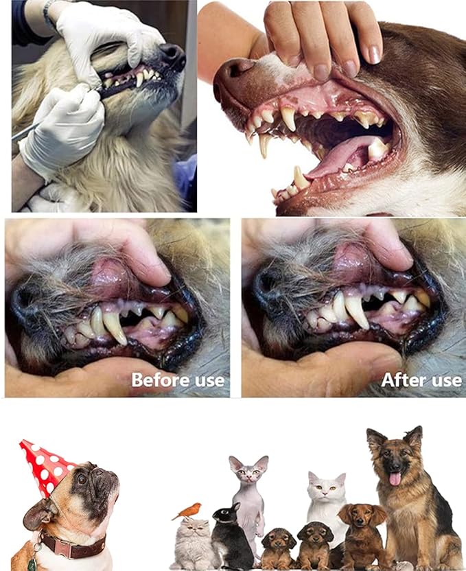 Pet DogToothbrush Kit,Cat Finger Toothbrush,Dog Double Headed Toothbrush for Dental Care,Halitosis and Tartar Removal for Dog and Puppy（11 PCS）