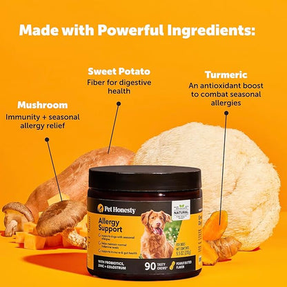 Pet Honesty Allergy Support Itch Relief for Dogs - Dog Allergy Relief Immunity Supplement - Dog Allergy Chews, Probiotics for Dogs, Seasonal Allergies, Skin and Coat Supplement - Salmon