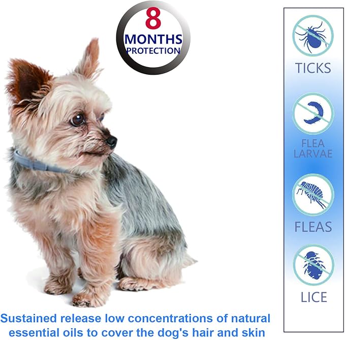 Natural Ingredients Flea Repellent Collar for Small Dogs, Safe and Effective Flea and Tick Repellent, Waterproof, 8 Months Protection Each, Free Comb and Tick Removal Tool, 13.8 Inches, 4-Pack