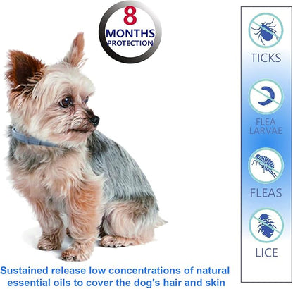 Natural Ingredients Flea Repellent Collar for Small Dogs,Safe and Effective Flea and Tick Repellent, Waterproof,8 Months Protection,Free Comb and Tick Scoop,Flea Repellent Drops,13.8 Inches,1-Pack