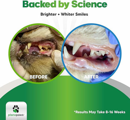 Cat Dental Care Powder - Easier Than Cat Toothpaste - Cat Dental Treat Alternative to Get Plaque Off - Cat Teeth Cleaning Powder with Bactase PET - Cat Breath Freshener for Cat Bad Breath - Oral Care