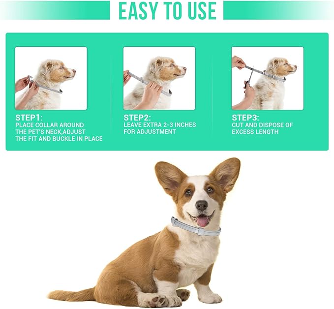 Flea and Tick Collar for Small Dogs with Flea Comb,8-Month Tick and Flea Control for Dogs Under 18 Lbs,Safe,Waterproof,Adjustable,2 Pack