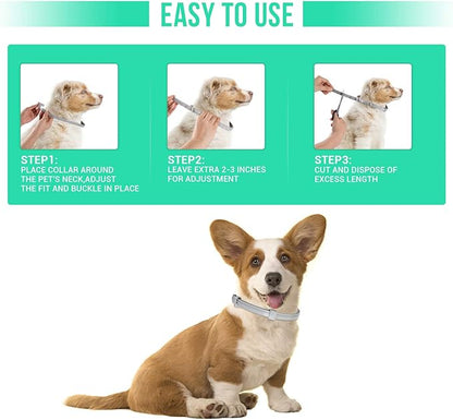 Flea and Tick Collar for Small Dogs with Flea Comb,8-Month Tick and Flea Control for Dogs Under 18 Lbs,Safe,Waterproof,Adjustable,2 Pack