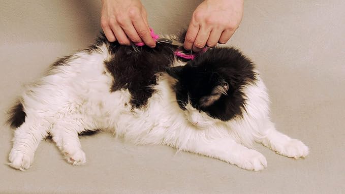 SCAREDY CUT NO Buzz Dog Clippers, Tiny Trim Safety Scissor. A Silent Low Noise Pet Grooming Clipper, Right Handed Pink