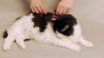 Scaredy Cut Silent Pet Grooming Kit for Dog, Cat and all Pet Grooming - A Quiet Alternative to Electric Clippers for Sensitive Pets (Left-Handed Pink)
