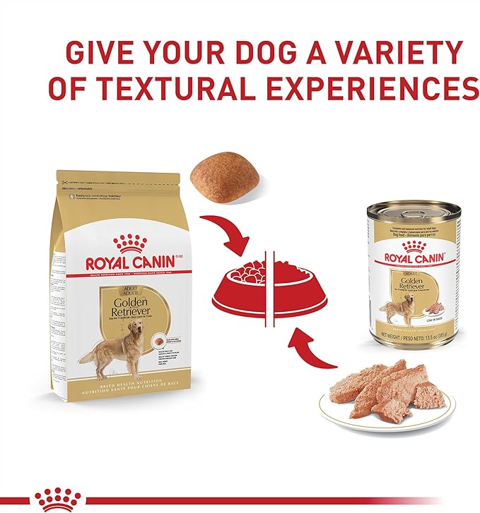 Royal Canin Breed Health Golden Retriever Adult Dry Dog Food, 30 lb Bag Breed Health Golden Retriever Loaf in Sauce Canned Dog Food, 13.5 oz can (12-Count)
