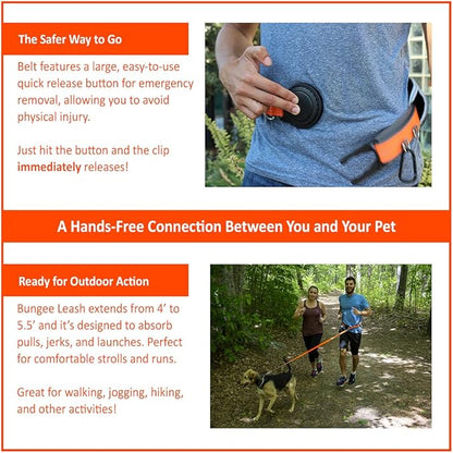 Penn-Plax Quick-Release Adventure Belt and Bungee Leash Combo – A Hands-Free Connection with Your Dog – Great for Walking, Jogging, Hiking, and Other Outdoor Activities