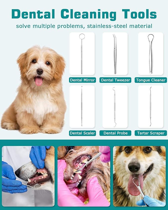 Pet Plaque Remover for Teeth with LED Light - 12 Pack Dog Tooth Brushing Kit, USB Charge Dog Teeth Cleaning Tools 5 Cleaning Mode with Dental Tools Scaler Scraper, Finger Toothbrush
