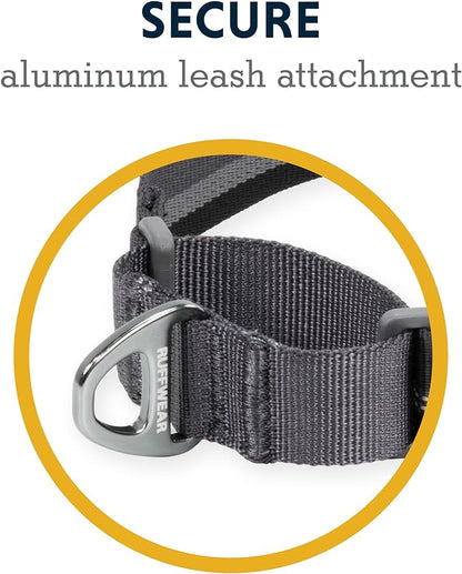 Ruffwear, Web Reaction Dog Collar, Martingale Collar for On-Leash Walking, Basalt Gray, 17"-20"