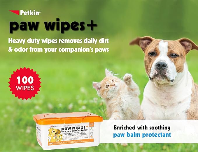 Paw Wipes Plus, 100 Orange Scented Wipes - Absorbent Pet Paw Wipes Remove Daily Dirt & Odors - Enriched with Paw Balm Protectant - Easy to Use Pet Wipes for Dogs, Cats, Puppies & Kittens