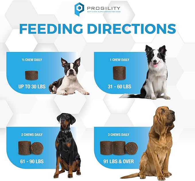 Nootie Progility Skin & Coat Supplement for Dogs, Fish Oil Supports Healthy Skin & Coat, 90 Soft Chews per Container