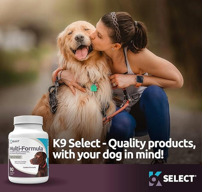 Multi-Formula Dog Vitamins with 30mg HMR Lignans, 3mg Melatonin for Large Dogs, 60mg Milk Thistle - 90 Tablets - Pet Melatonin for Dogs, Beef Flavor