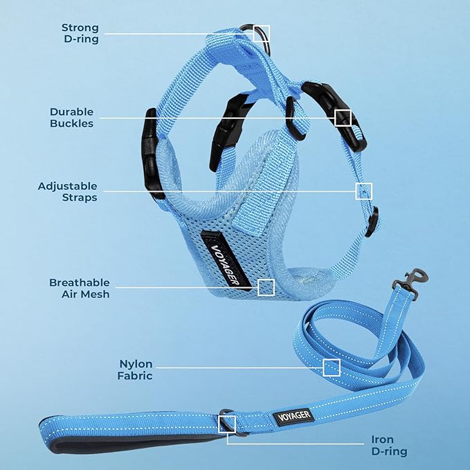 Voyager Step-in Lock Dog Harness w Reflective Dog Leash Combo Set with Neoprene Handle 5ft - Supports Small, Medium and Large Breed Puppies/Cats by Best Pet Supplies - Baby Blue, XL